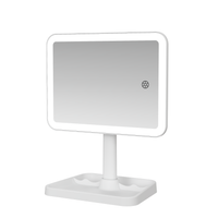 SLAYssentials Tri-tone LED Makeup Mirror w/ Catchall Tray