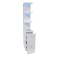 SlayStation® Natalie Column w/ Drawers & RGB Light