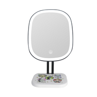 Villains Highlight LED Makeup Mirror