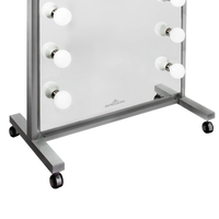 Hollywood Premiere® Full-Length Vanity Mirror
