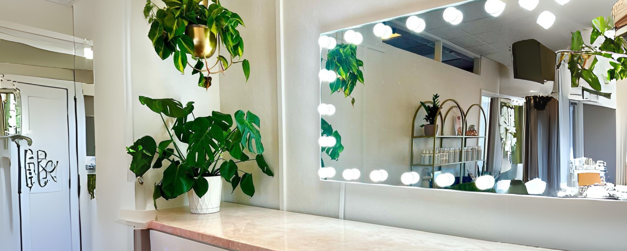 A vanity mirror mounted above a counter, with plants next to it.