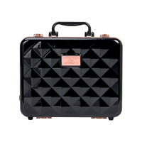 Laguna Travel Case w/ LED Makeup Mirror