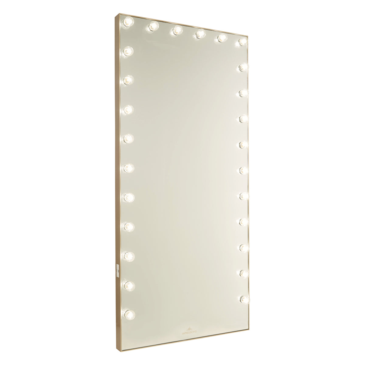 Hollywood Glow® FL Pro Vanity Floor Mirror • Impressions Vanity Co.